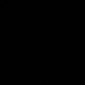 Meet your Posher, Damian